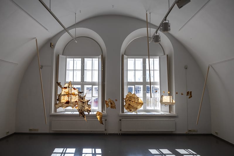 a gallery space with hanging pieces of art that is brown taken during Open Studios / Winter 2025.