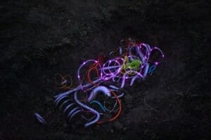 Neon-coloured clean wires in a dark background, possibly on the ground.
